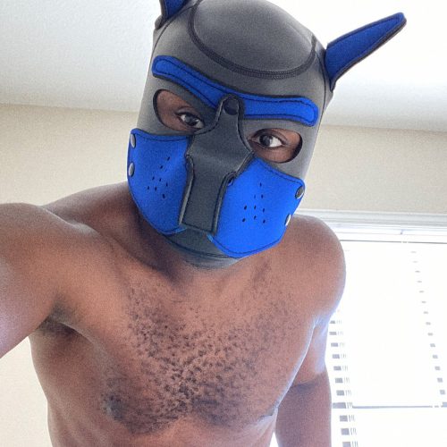 cropped-IMG_2894.jpg pup blue mask